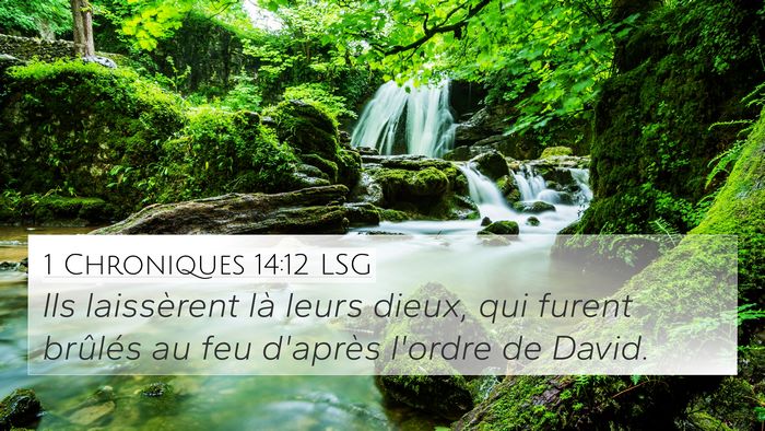 1 Chroniques 14:12 LSG Bible Verse Image