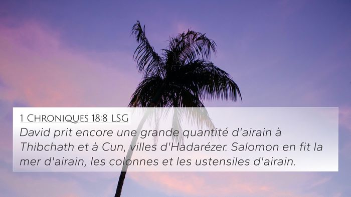 1 Chroniques 18:8 LSG Bible Verse Image