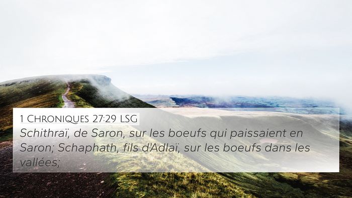 1 Chroniques 27:29 LSG Bible Verse Image