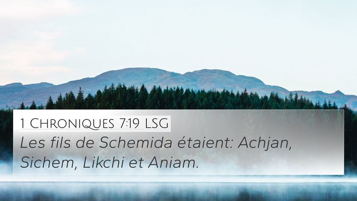 1 Chroniques 7:19 LSG 4K Wallpaper - Les fils de Schemida étaient: Achjan, Sichem, - 4K Wallpaper Bible Verse