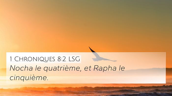 1 Chroniques 8:2 LSG 4K Wallpaper - Nocha le quatrième, et Rapha le - 4K Wallpaper Bible Verse
