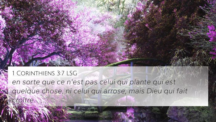 1 Corinthiens 3:7 LSG Bible Verse Image