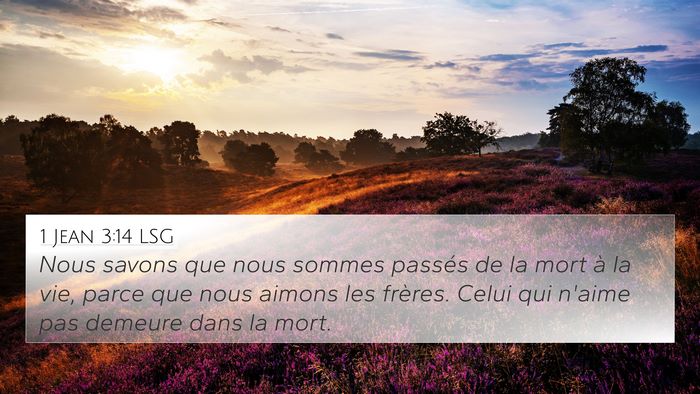 1 Jean 3:14 LSG Bible Verse Image