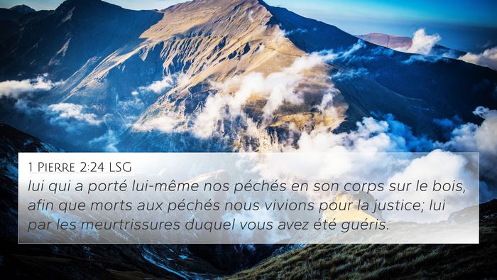1 Pierre 2:24 LSG Bible Verse Image