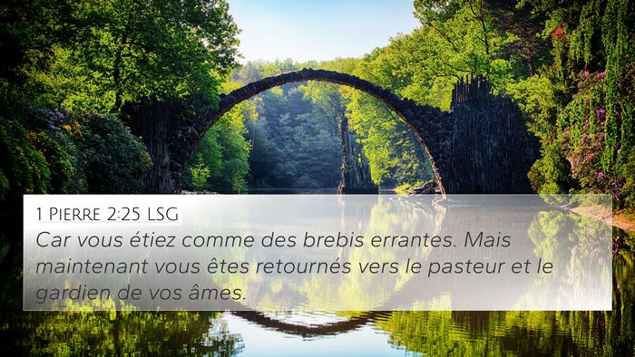 1 Pierre 2:25 LSG Bible Verse Image