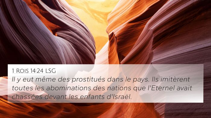 1 Rois 14:24 LSG Bible Verse Image