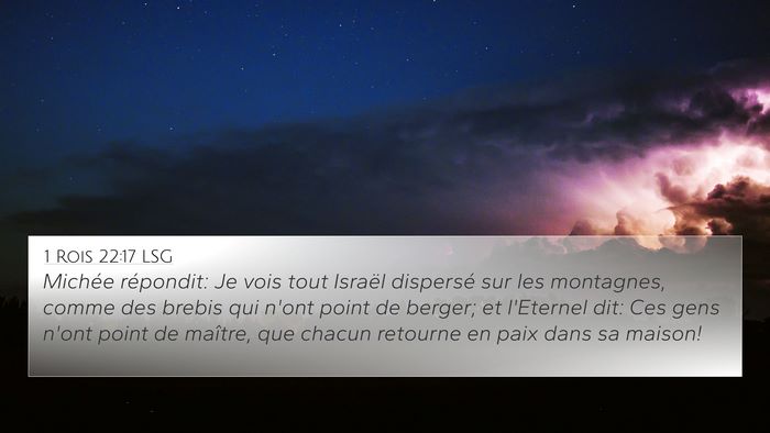 1 Rois 22:17 LSG Bible Verse Image