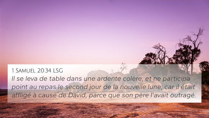 1 Samuel 20:34 LSG 4K Wallpaper - Il se leva de table dans une ardente colère, et - 4K Wallpaper Bible Verse