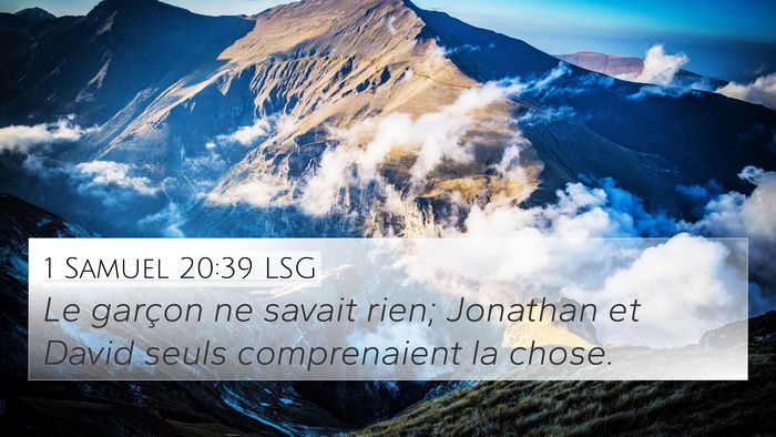 1 Samuel 20:39 LSG 4K Wallpaper - Le garçon ne savait rien; Jonathan et David - 4K Wallpaper Bible Verse