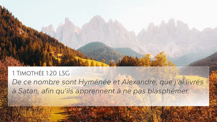 1 Timothée 1:20 LSG Bible Verse Image