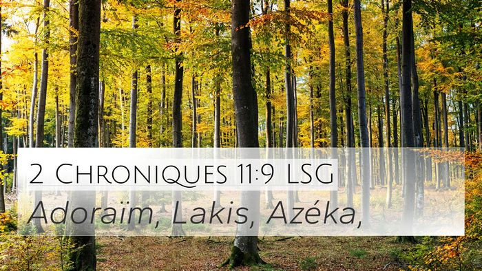 2 Chroniques 11:9 LSG 4K Wallpaper - Adoraïm, Lakis, - 4K Wallpaper Bible Verse