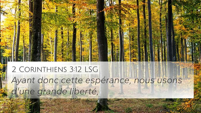 2 Corinthiens 3:12 LSG Bible Verse Image