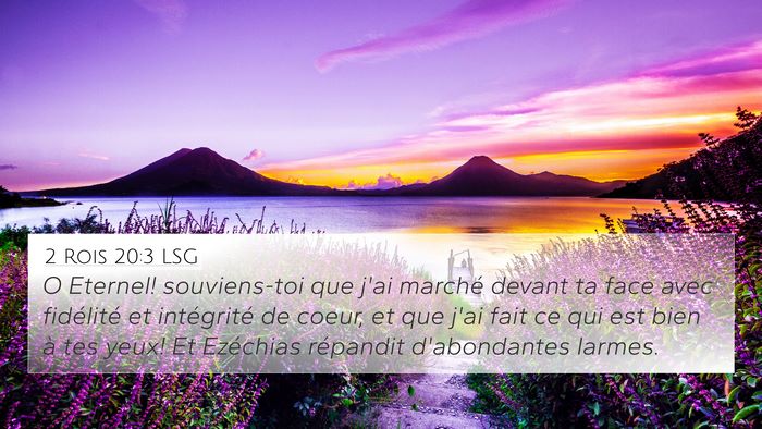 2 Rois 20:3 LSG Bible Verse Image