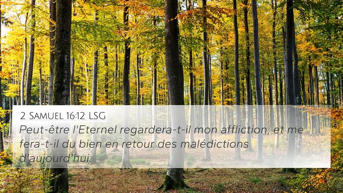 2 Samuel 16:12 LSG Bible Verse Image