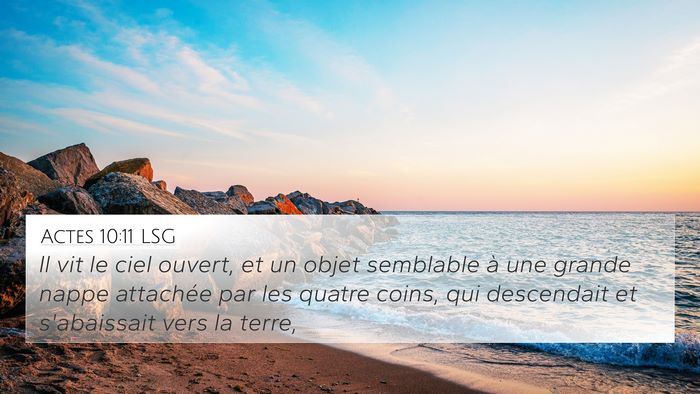 Actes 10:11 LSG Bible Verse Image
