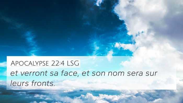 Apocalypse 22:4 LSG Bible Verse Image