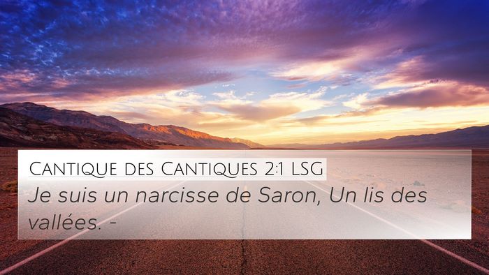 Cantique des Cantiques 2:1 LSG 4K Wallpaper - Je suis un narcisse de Saron, Un lis des - 4K Wallpaper Bible Verse