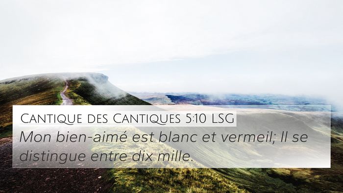 Cantique des Cantiques 5:10 LSG Bible Verse Image