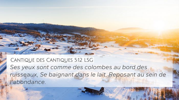Cantique des Cantiques 5:12 LSG Bible Verse Image