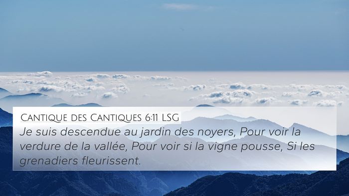 Cantique des Cantiques 6:11 LSG Bible Verse Image