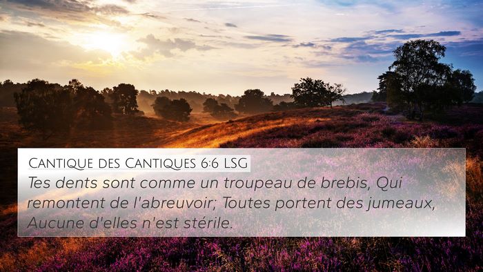 Cantique des Cantiques 6:6 LSG Bible Verse Image