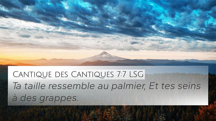 Cantique des Cantiques 7:7 LSG 4K Wallpaper - Ta taille ressemble au palmier, Et tes seins à - 4K Wallpaper Bible Verse