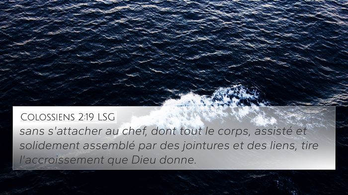 Colossiens 2:19 LSG Bible Verse Image