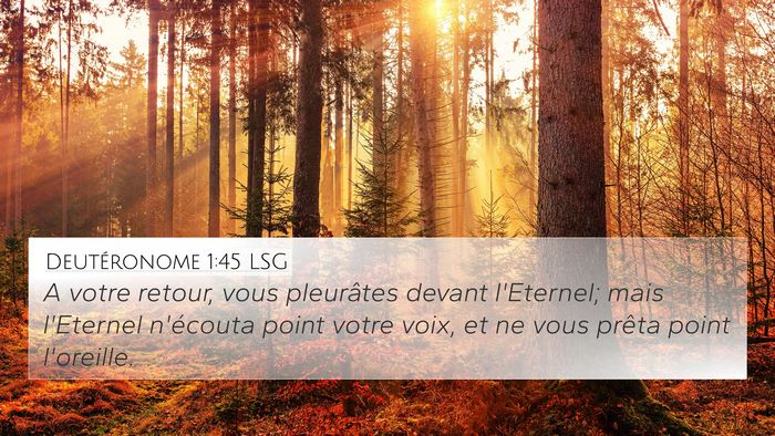 Deutéronome 1:45 LSG 4K Wallpaper - A votre retour, vous pleurâtes devant l'Eternel; - 4K Wallpaper Bible Verse