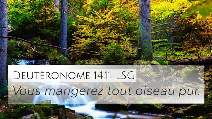 Deutéronome 14:11 LSG 4K Wallpaper - Vous mangerez tout oiseau - 4K Wallpaper Bible Verse