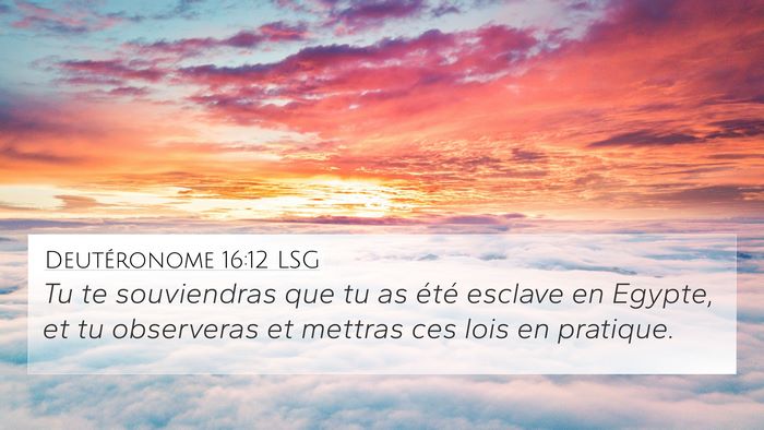 Deutéronome 16:12 LSG Bible Verse Image