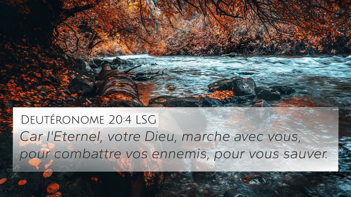 Deutéronome 20:4 LSG Bible Verse Image