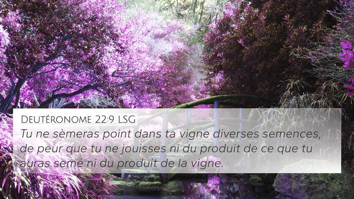 Deutéronome 22:9 LSG 4K Wallpaper - Tu ne sèmeras point dans ta vigne diverses - 4K Wallpaper Bible Verse