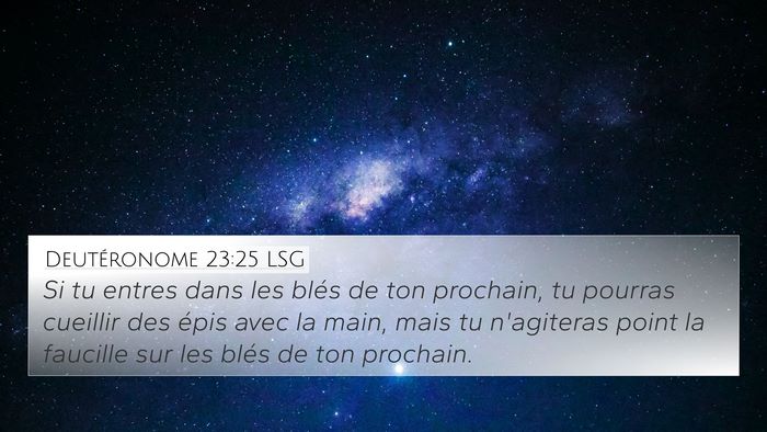 Deutéronome 23:25 LSG 4K Wallpaper - Si tu entres dans les blés de ton prochain, tu - 4K Wallpaper Bible Verse