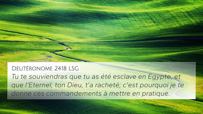 Deutéronome 24:18 LSG Bible Verse Image