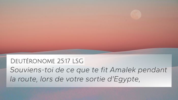 Deutéronome 25:17 LSG Bible Verse Image
