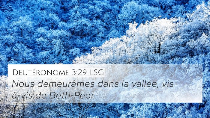 Deutéronome 3:29 LSG Bible Verse Image