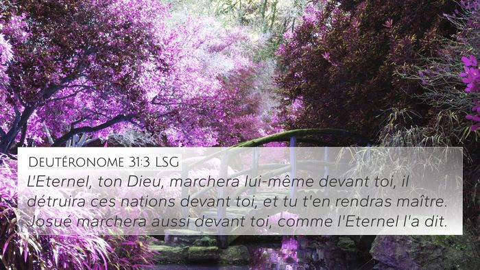 Deutéronome 31:3 LSG Bible Verse Image