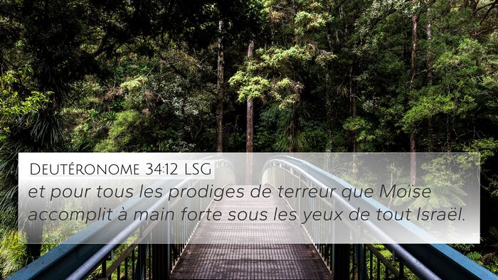 Deutéronome 34:12 LSG Bible Verse Image