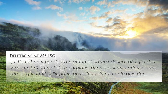 Deutéronome 8:15 LSG Bible Verse Image
