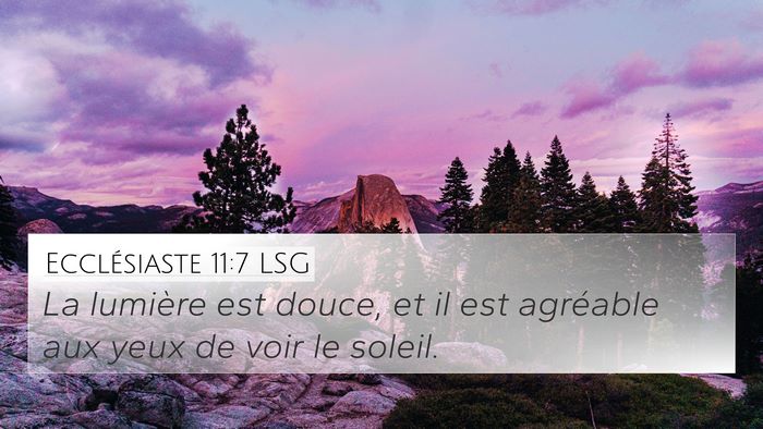 Ecclésiaste 11:7 LSG 4K Wallpaper - La lumière est douce, et il est agréable aux - 4K Wallpaper Bible Verse