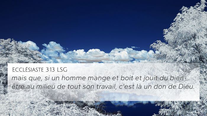 Ecclésiaste 3:13 LSG Bible Verse Image