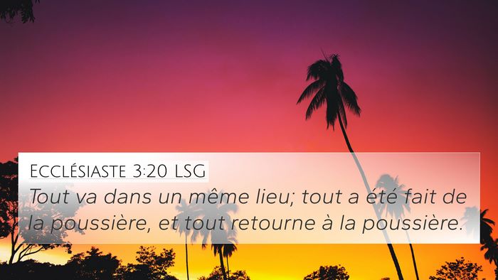Ecclésiaste 3:20 LSG 4K Wallpaper - Tout va dans un même lieu; tout a été fait de - 4K Wallpaper Bible Verse