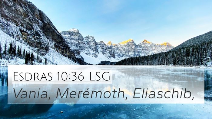 Esdras 10:36 LSG 4K Wallpaper - Vania, Merémoth, - 4K Wallpaper Bible Verse
