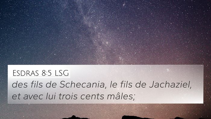 Esdras 8:5 LSG 4K Wallpaper - des fils de Schecania, le fils de Jachaziel, et - 4K Wallpaper Bible Verse