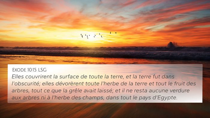 Exode 10:15 LSG Bible Verse Image