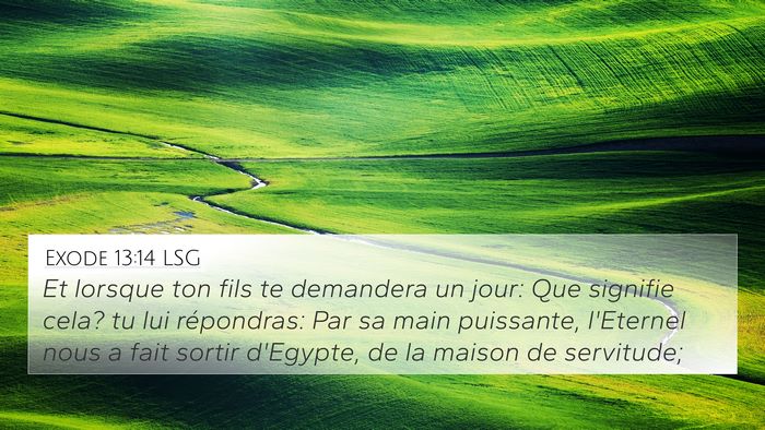 Exode 13:14 LSG Bible Verse Image