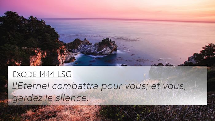 Exode 14:14 LSG Bible Verse Image