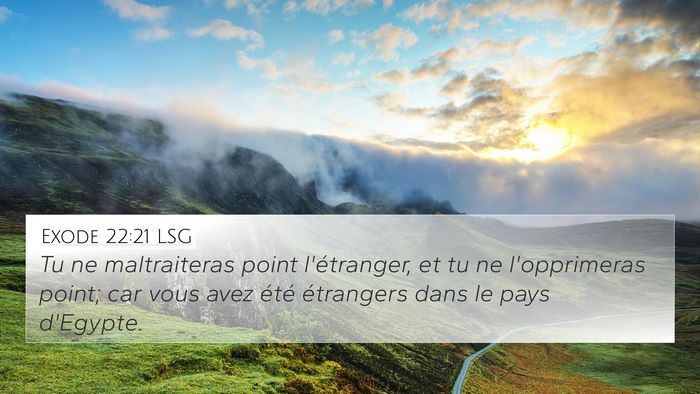 Exode 22:21 LSG Bible Verse Image