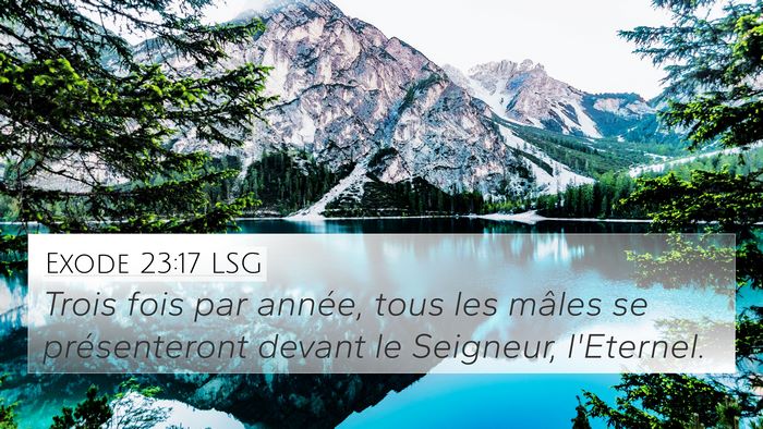 Exode 23:17 LSG Bible Verse Image