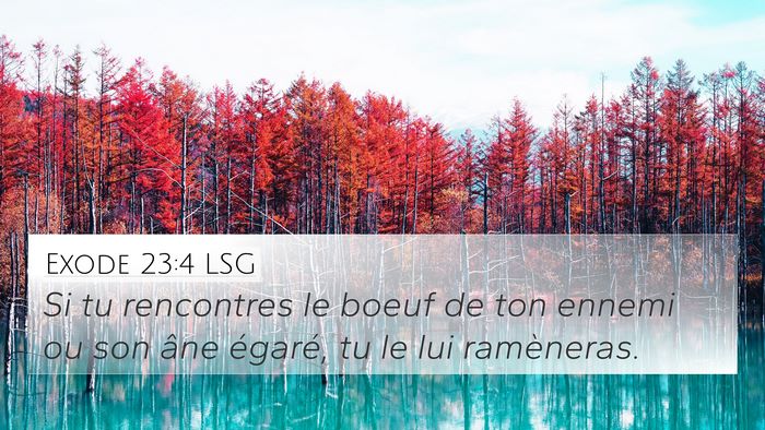 Exode 23:4 LSG Bible Verse Image
